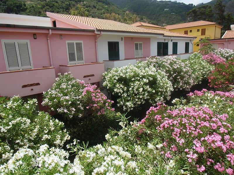 Villaggio Hotel Club Calanovellamare Piraino Eksteriør billede