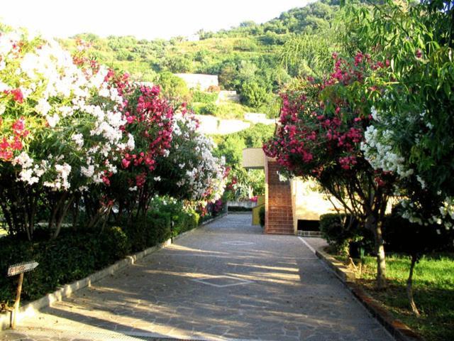 Villaggio Hotel Club Calanovellamare Piraino Eksteriør billede