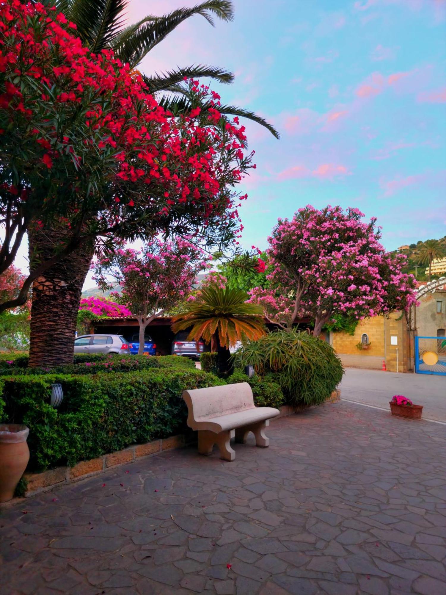 Villaggio Hotel Club Calanovellamare Piraino Eksteriør billede